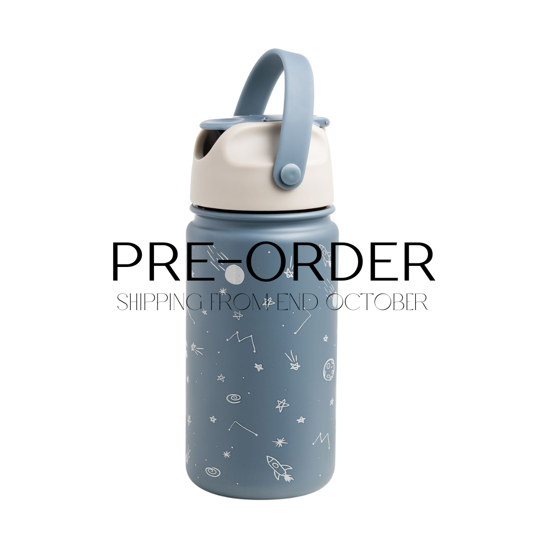 Insulated Stainless Steel Bottle